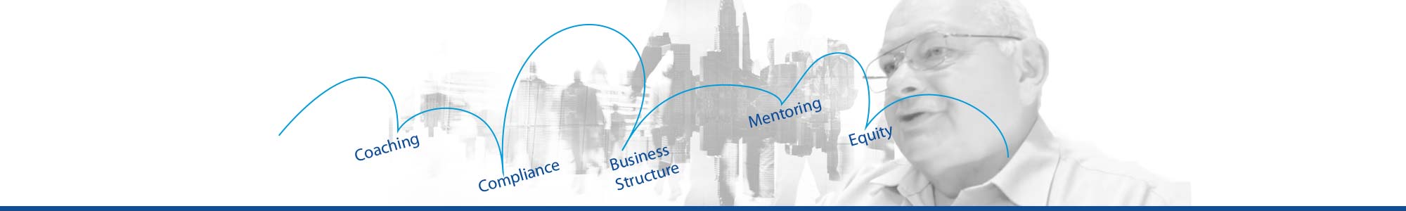 Business Turnaround Consultant 